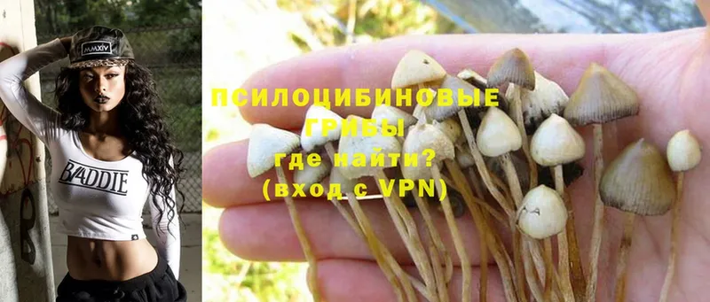 Галлюциногенные грибы Magic Shrooms  хочу   Долинск 